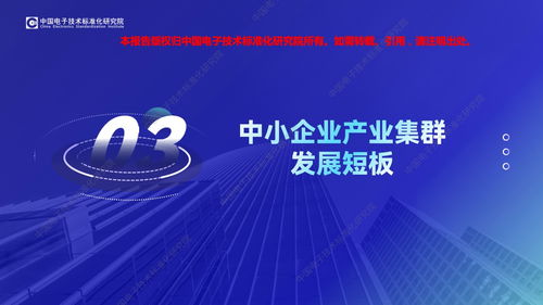 數智賦能，集群崛起 2023年中國中小企業特色產業集群電子商務技術服務發展觀察